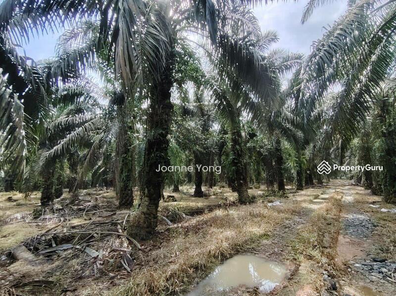 Untuk Dijual - 9.9 Acres Zoning Medium Industrial Land @ Pekan Nanas, Kampung Batu Dua Puluh Lapan, Pontian, Johor