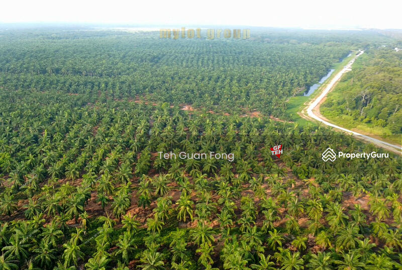 Industrial Land for Sale in Bandar Cassia (Batu Kawan) - Teh Guan Fong - PropertyGuru.com.my