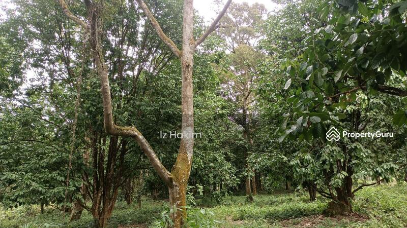 For Sale - Tanah Serendah Hulu Selangor