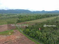 For Sale - 7.671 Acres Flat Land | Padang Besar | Titi Tinggi | Perlis 4.50psf