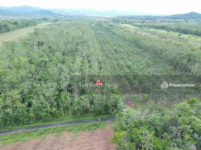 Untuk Dijual - 7.67 Acre Flat Agricultural Land | Padang Besar | Titi Tinggi | Perlis RM4.50psf