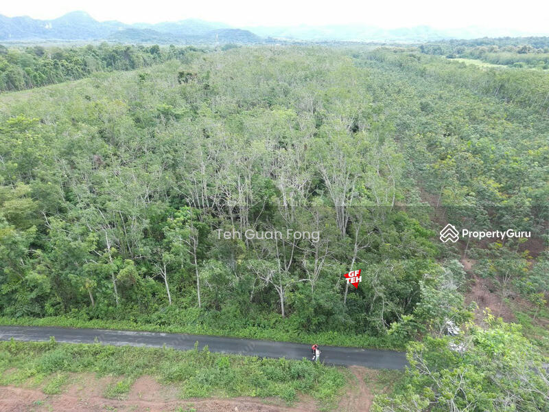 Untuk Dijual - 7.67 Acre Flat Agricultural Land | Padang Besar | Titi Tinggi | Perlis RM4.50psf