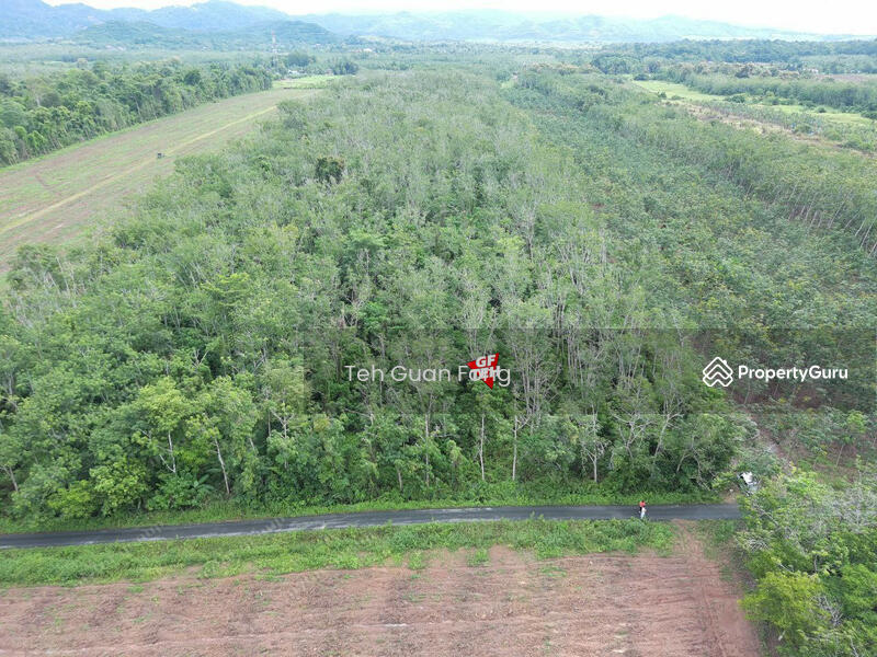 Untuk Dijual - 7.67 Acre Flat Agricultural Land | Padang Besar | Titi Tinggi | Perlis RM4.50psf