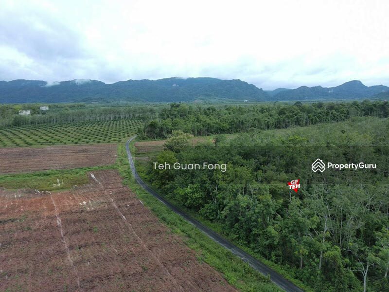 Untuk Dijual - 7.67 Acre Flat Agricultural Land | Padang Besar | Titi Tinggi | Perlis RM4.50psf