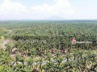 For Sale - 10.38 Acres Agricultural Land | Beside Main road | Selama | Perak | 6psf b