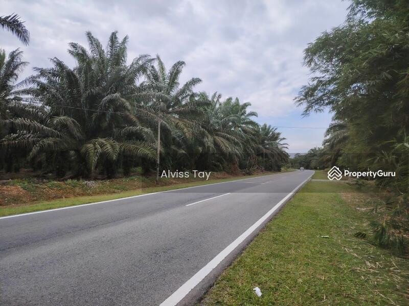 Untuk Dijual - Pekan Nanas Pekan Nanas