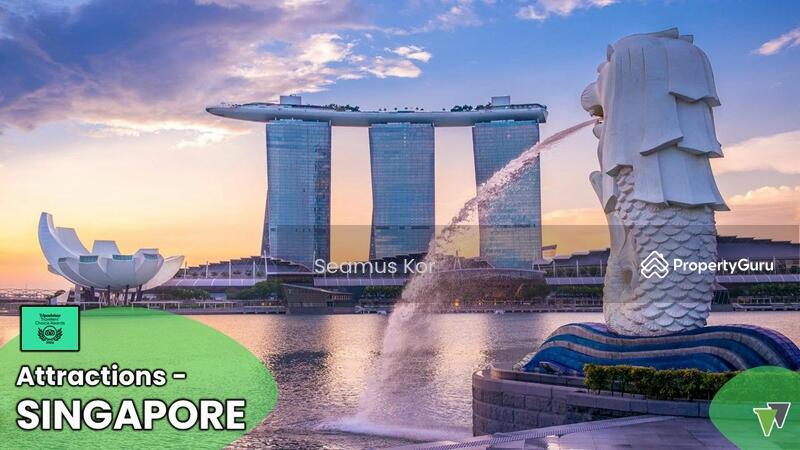 For Sale - ⭐ ROI 9.33% based on RM2.5mil ⭐ RM125k / room ⭐ Main road frontage ⭐ Johor Bahru ⭐