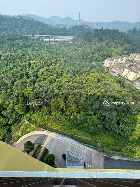 Untuk Disewa - Oasis 1