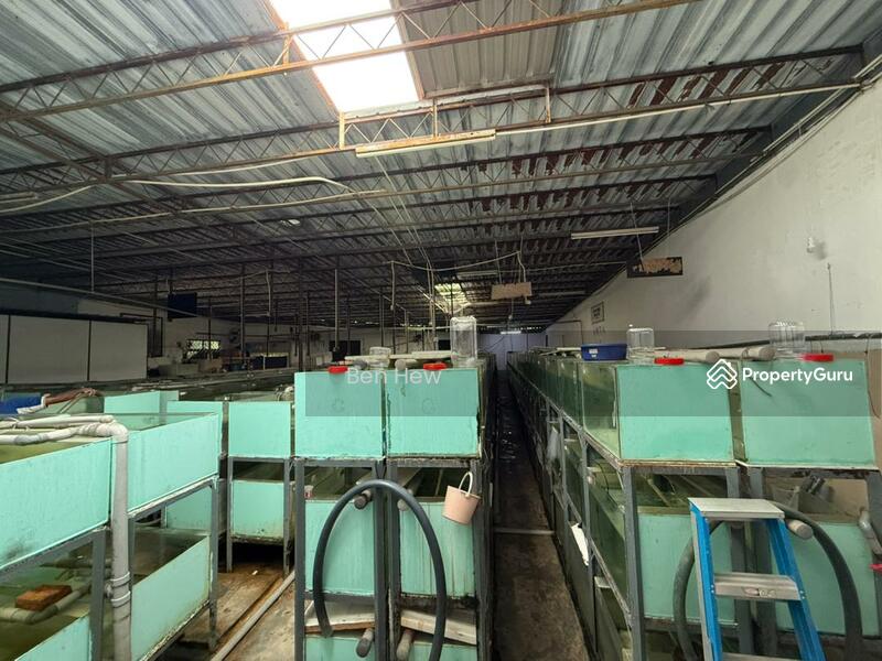 For Sale - Lorong Kenari