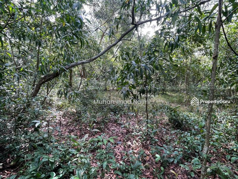 For Sale - Kampung Sura Hujung