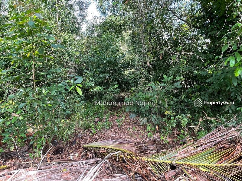For Sale - Kampung Sura Hujung