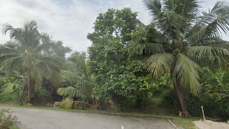 Agricultural Land for Sale in Taman Tasik (Segamat) - Allen . - Exterior - PropertyGuru.com.my