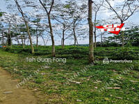 For Sale - 2.236 Acres | Agricultural Land | Bandar Baharu | Selama Kedah 3.15psf