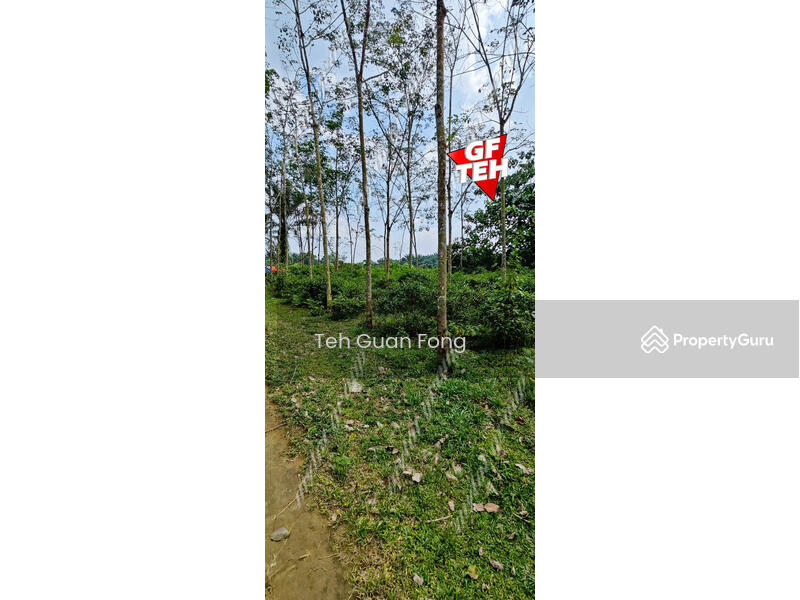 Tanah Pertanian untuk Dijual di Kampung Batu 28 (Bandar Baharu) - Teh Guan Fong - PropertyGuru.com.my