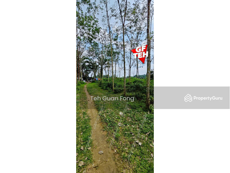 Tanah Pertanian untuk Dijual di Kampung Batu 28 (Bandar Baharu) - Teh Guan Fong - PropertyGuru.com.my