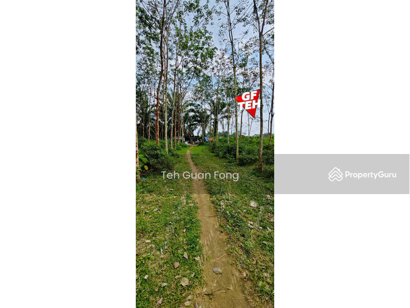 Tanah Pertanian untuk Dijual di Kampung Batu 28 (Bandar Baharu) - Teh Guan Fong - PropertyGuru.com.my