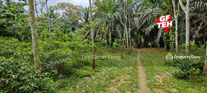 Tanah Pertanian untuk Dijual di Kampung Batu 28 (Bandar Baharu) - Teh Guan Fong - PropertyGuru.com.my