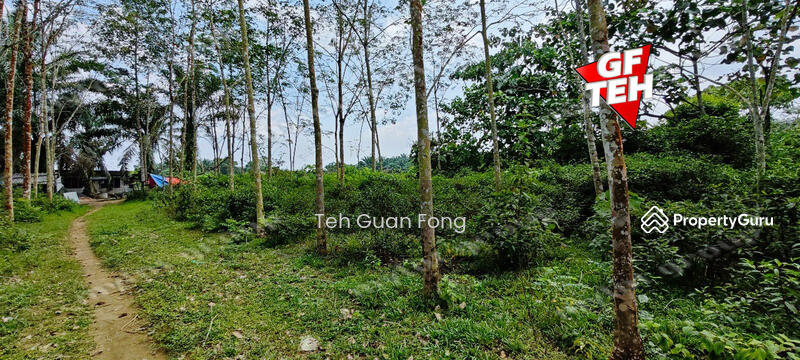 Tanah Pertanian untuk Dijual di Kampung Batu 28 (Bandar Baharu) - Teh Guan Fong - PropertyGuru.com.my