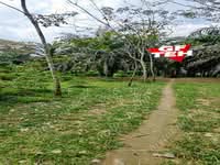 For Sale - 2.24 Acre Agricultural Land | Bandar Baharu | Selama | Kedah RM3.15psf