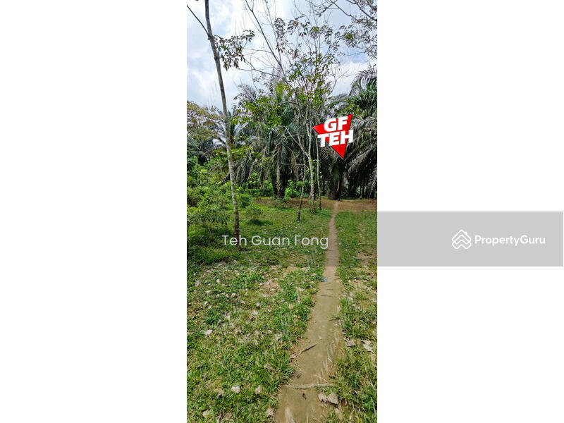 Tanah Pertanian untuk Dijual di Kampung Batu 28 (Bandar Baharu) - Teh Guan Fong - PropertyGuru.com.my