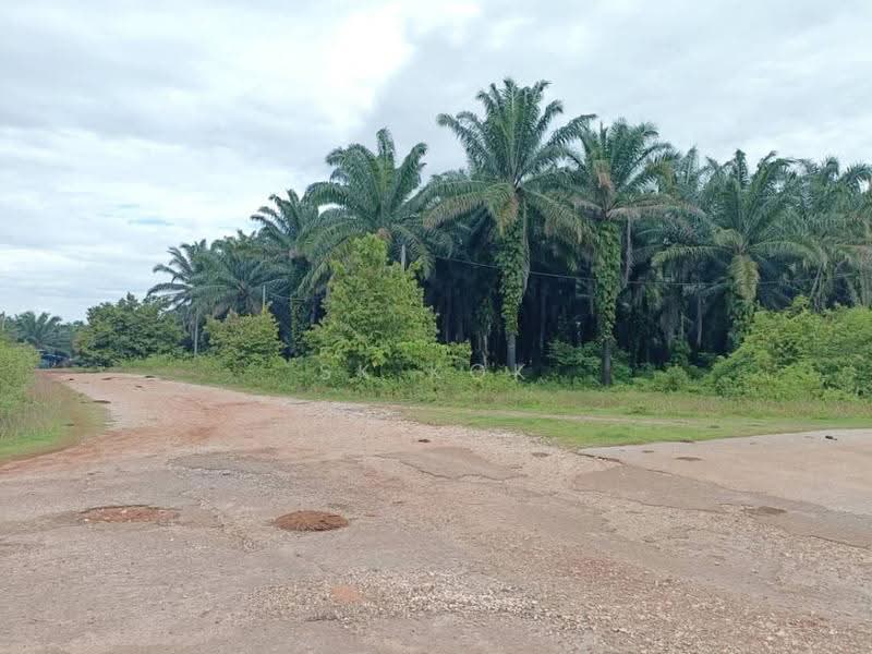 Agricultural Land for Sale in Kampung Sangly (Gopeng) - SK Kok - PropertyGuru.com.my