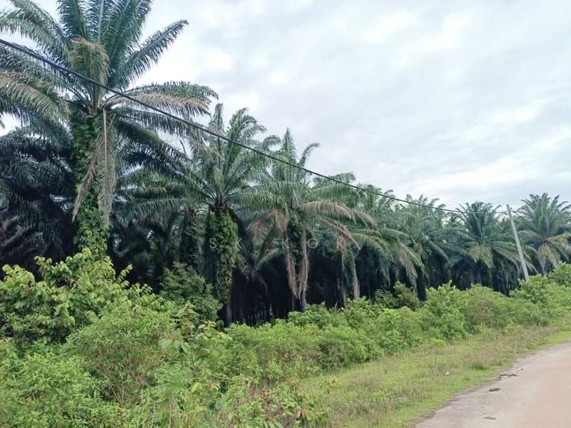 Agricultural Land for Sale in Kampung Sangly (Gopeng) - SK Kok - PropertyGuru.com.my