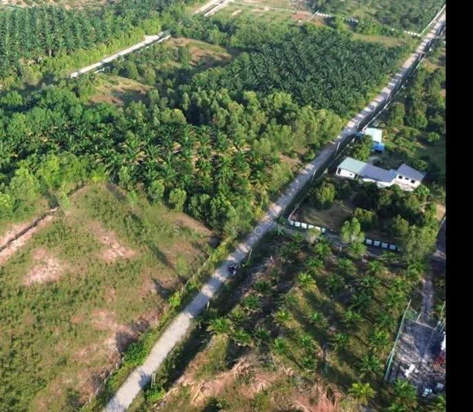 Agricultural Land for Sale in Kampung Sangly (Gopeng) - SK Kok - PropertyGuru.com.my