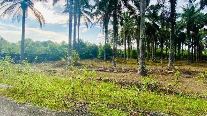 Agricultural Land for Sale in Kampung Sangly (Gopeng) - SK Kok - PropertyGuru.com.my
