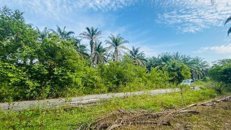 Agricultural Land for Sale in Kampung Sangly (Gopeng) - SK Kok - PropertyGuru.com.my