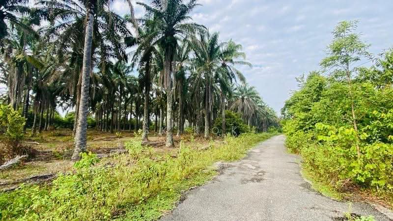 Agricultural Land for Sale in Kampung Sangly (Gopeng) - SK Kok - PropertyGuru.com.my