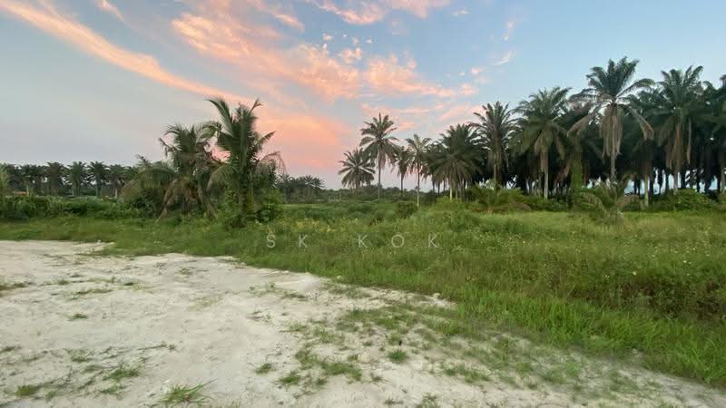 Agricultural Land for Sale in Kampung Sangly (Gopeng) - SK Kok - PropertyGuru.com.my