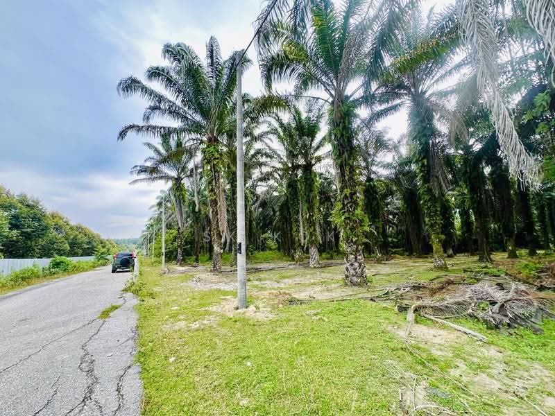 Agricultural Land for Sale in Kampung Sangly (Gopeng) - SK Kok - PropertyGuru.com.my