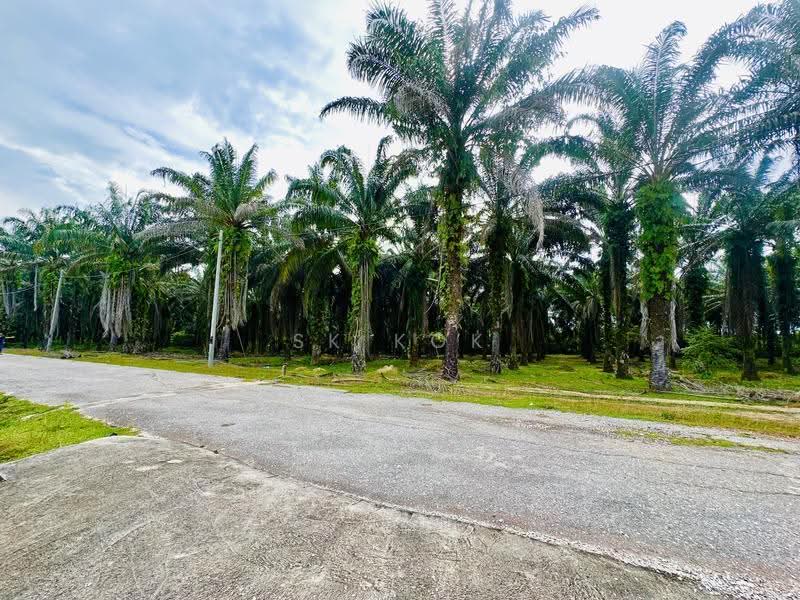Agricultural Land for Sale in Kampung Sangly (Gopeng) - SK Kok - PropertyGuru.com.my