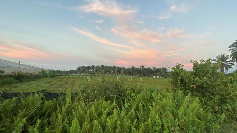 Agricultural Land for Sale in Kampung Sangly (Gopeng) - SK Kok - PropertyGuru.com.my