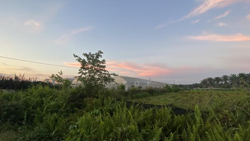 Agricultural Land for Sale in Kampung Sangly (Gopeng) - SK Kok - PropertyGuru.com.my