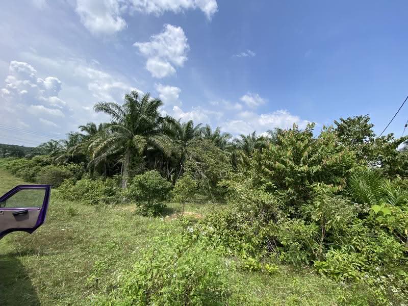 Agricultural Land for Sale in Kampung Sangly (Gopeng) - SK Kok - PropertyGuru.com.my