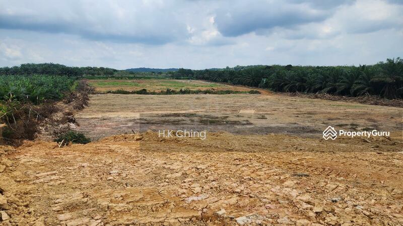 For Sale - 13 Acres Freehold main road Industrial Land Jalan Muar-Tangkak Johor