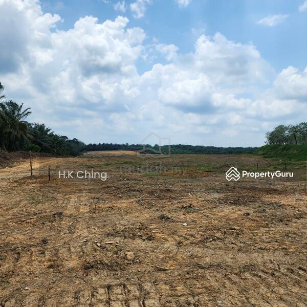 For Sale - 13 Acres Freehold main road Industrial Land Jalan Muar-Tangkak Johor