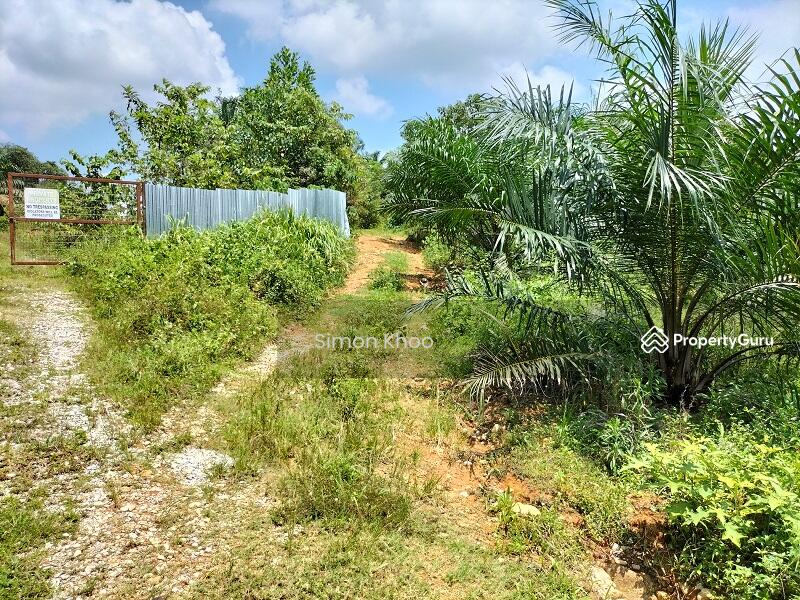 For Sale - BIDOR (Jalan Paku)