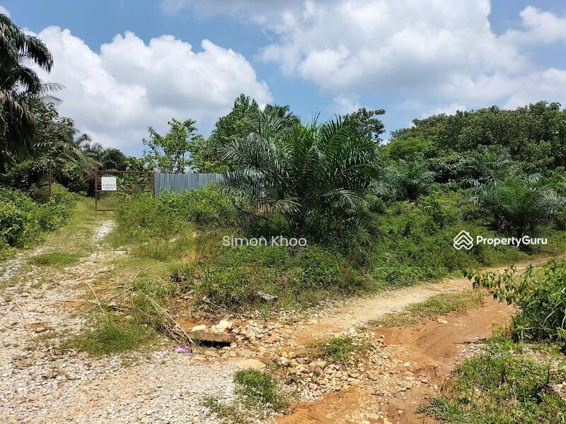 For Sale - BIDOR (Jalan Paku)