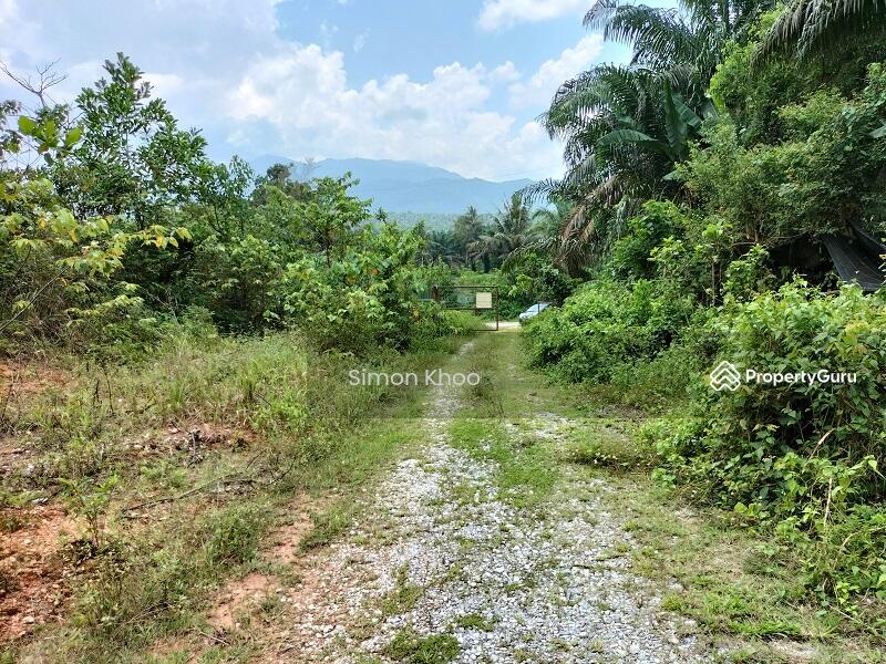 For Sale - BIDOR (Jalan Paku)