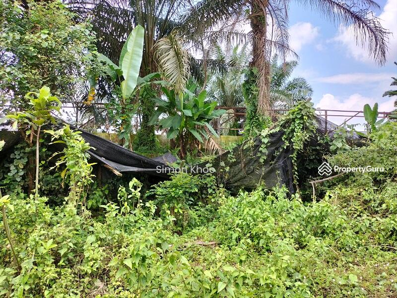 For Sale - BIDOR (Jalan Paku)