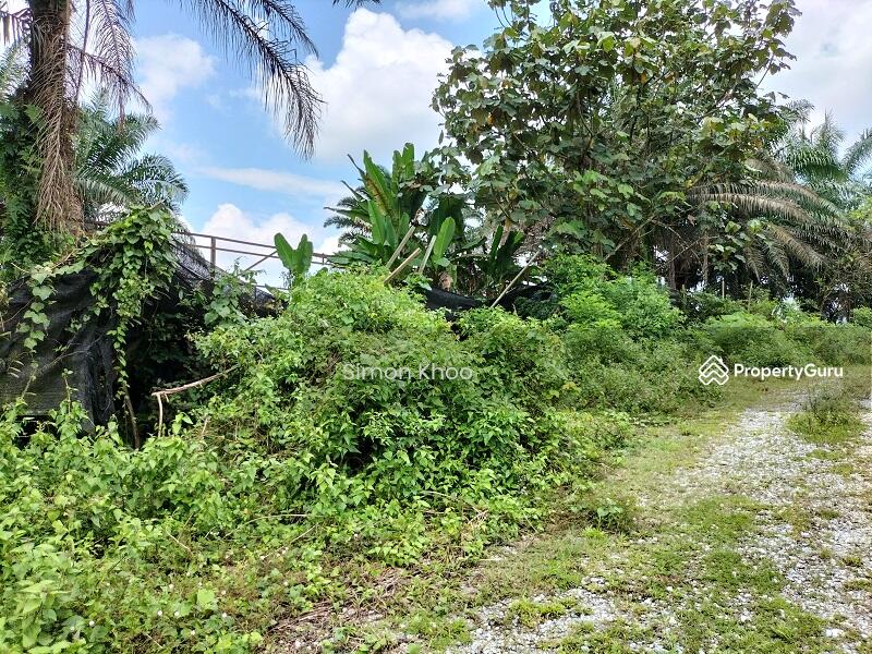 For Sale - BIDOR (Jalan Paku)