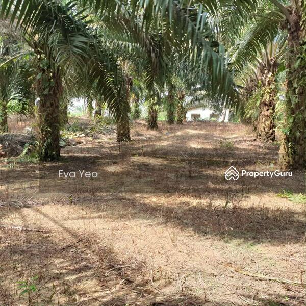 For Sale - Sungai Tiram Sungais Tirams