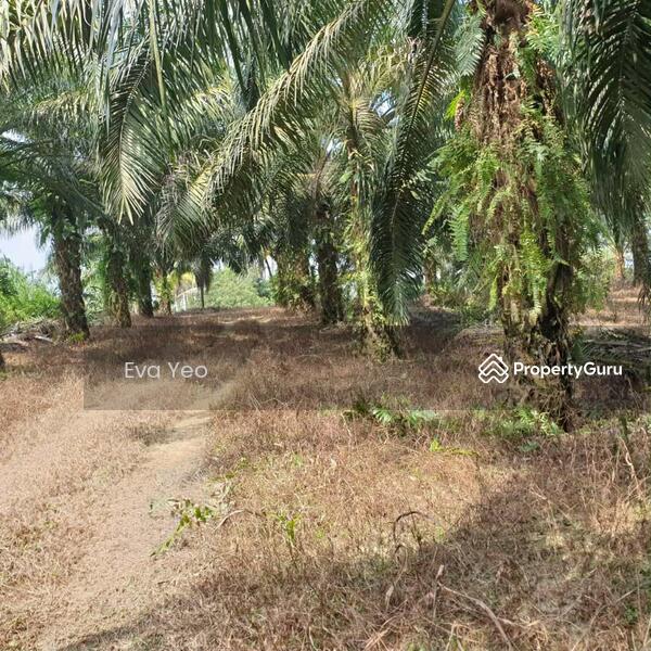 For Sale - Sungai Tiram Sungais Tirams
