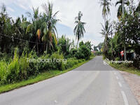 For Sale - Rare 1.59 acres Flat land | Karangan | Kedah Rm6.93psf k