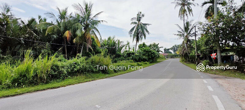 Tanah Pertanian untuk Dijual di Kampung Batu Puteh (Karangan) - Teh Guan Fong - PropertyGuru.com.my