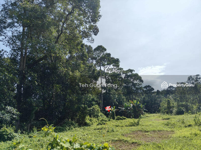 Tanah Pertanian untuk Dijual di Kampung Batu Puteh (Karangan) - Teh Guan Fong - PropertyGuru.com.my
