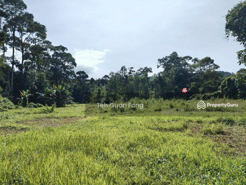 Tanah Pertanian untuk Dijual di Kampung Batu Puteh (Karangan) - Teh Guan Fong - PropertyGuru.com.my
