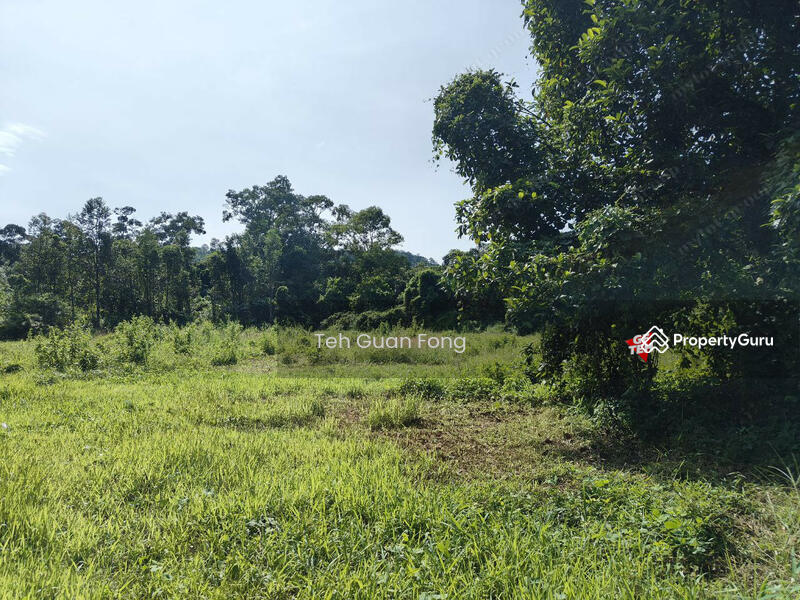 Tanah Pertanian untuk Dijual di Kampung Batu Puteh (Karangan) - Teh Guan Fong - PropertyGuru.com.my